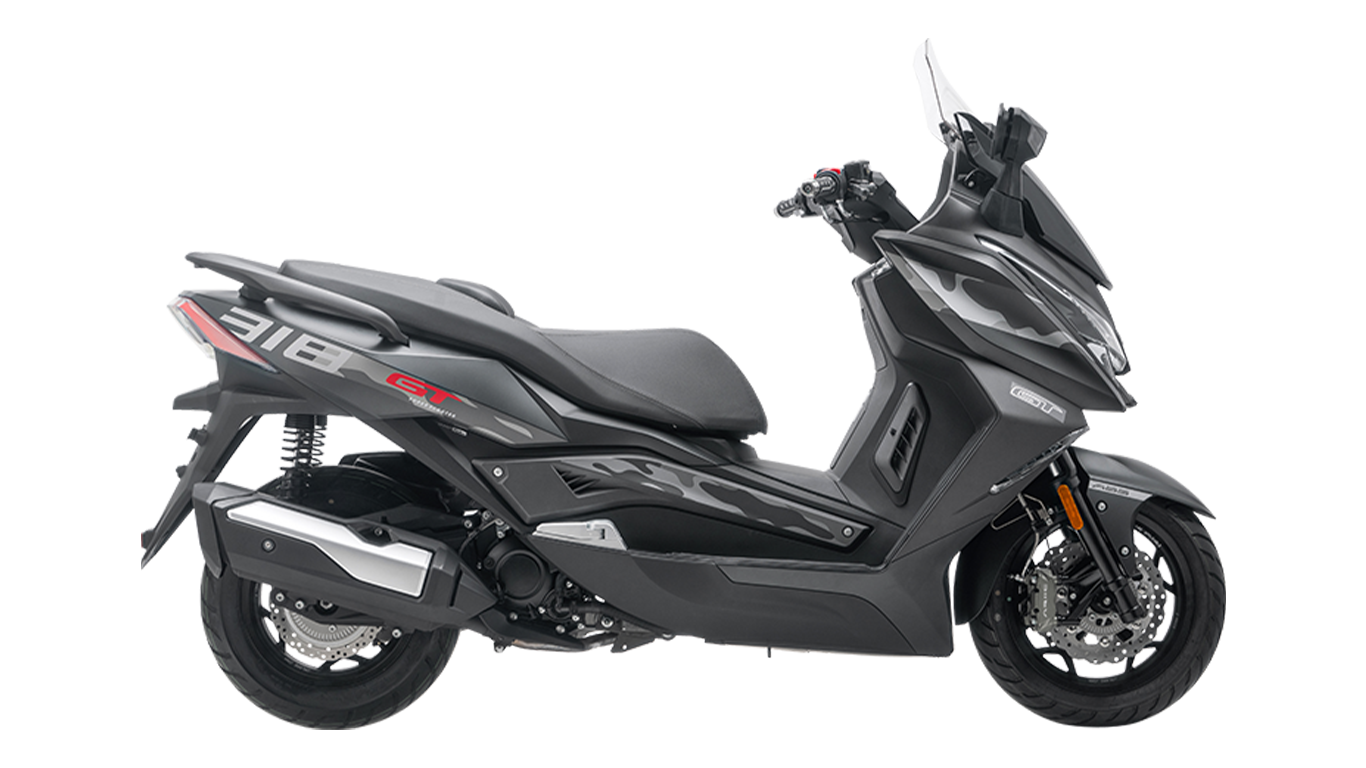 ARIIC 318GT